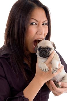 12228470-shouting-female-holding-puppy-on-an-isolated-background-thb1.jpg